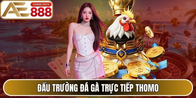 Đấu trường đá gà trực tiếp thomo với 45K tín đồ theo dõi mỗi ngày