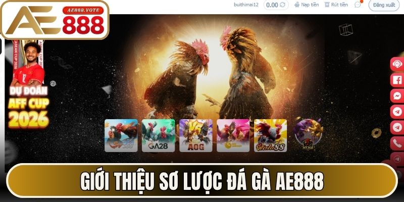 Giới thiệu sơ lược đá gà AE888