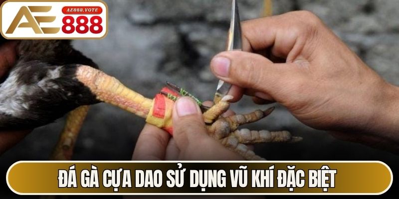 Đá gà cựa dao sử dụng vũ khí đặc biệt