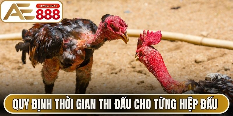 Quy định thời gian thi đấu cho từng hiệp đấu đá gà