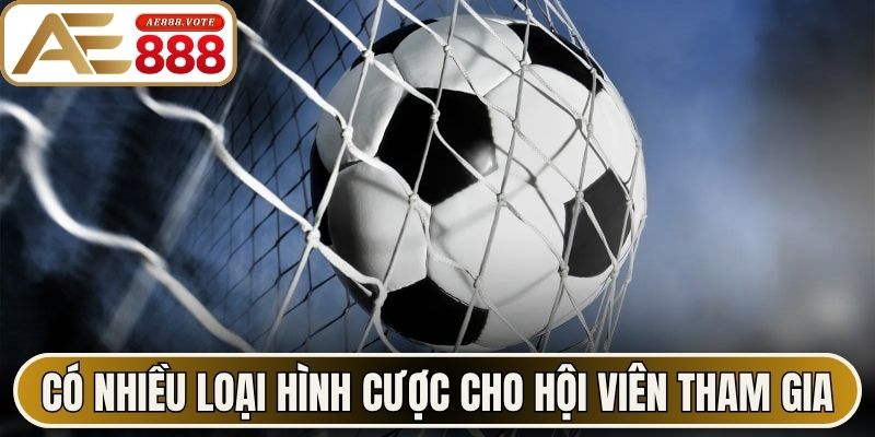 Có nhiều loại hình cược cho hội viên tham gia