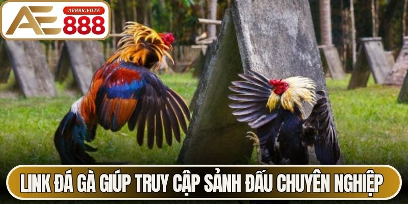Link đá gà giúp truy cập sảnh đấu chuyên nghiệp