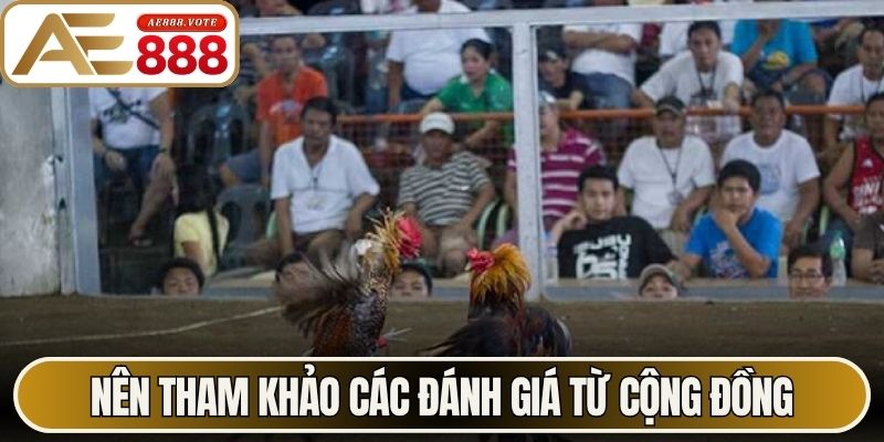 Nên tham khảo các đánh giá từ cộng đồng