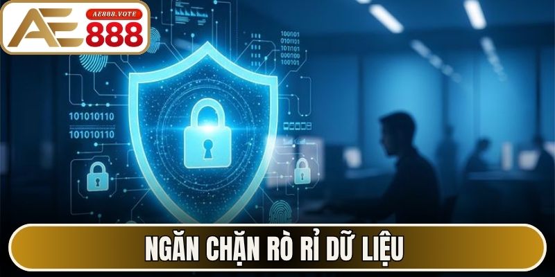 Ngăn chặn rò rỉ dữ liệu 