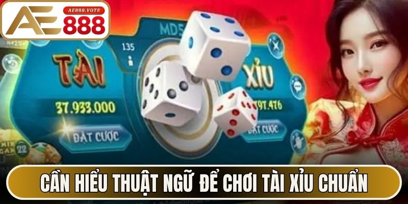 Cần hiểu thuật ngữ để chơi tài xỉu chuẩn